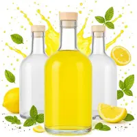 Hobby Hall 5 x 500 ml lasipulloa "tadek" - viinille, likööreille