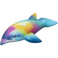 Bestway 1,68m x 66cm Dolphin Daydream Ride-On delfiini uimalelu