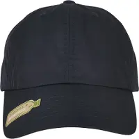 Flexfit Classics Dad Recycled Polyester Cap Sininen Mies