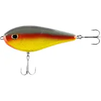 iFish The Guide Parrot Syötit Parrot 65g