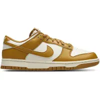 Nike Dunk Low Retro Lenkkarit
