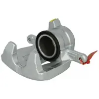 LAUBER Jarrusatula 77.3355