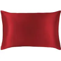 Slip Pure Silk Queen Pillowcase - Scarlet Tyynyt 1 kpl
