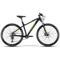 WHISTLE Patwin 2379 29" polkupyörä, 10-vaihteinen, musta/kulta, 17"/S