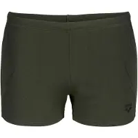 Arena Graphic Swim Uimashortsit