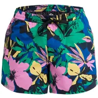 Quiksilver Everyday Printed Volley 15 - Multi/patterned - XXL