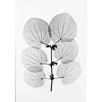 Fine Little Day Katsura juliste 70 x 100 cm