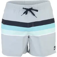 Quiksilver Uimashortsit 'EVERYDAY VOLLEY' vaaleansininen / vaaleanharmaa / vaaleanvihreä / musta