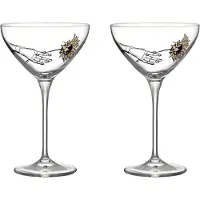 Kosta Boda - All About You Coupe Samppanjalasi 32 cl 2 kpl All for you