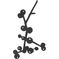 Pluto Design Berry pannunalunen Musta