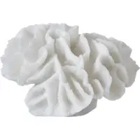 Mette Ditmer Coral gills