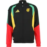 Adidas Urheilullinen collegetakki keltainen / vaaleanvihreä / punainen / musta