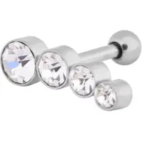 Wildcat 4 Round Crystals Left<!--64100490bf5ee-->