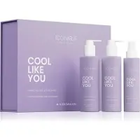 ICONIQUE Professional COOL LIKE YOU Perfect Blonde & Silver Violet Set setti keltaisia sävyjä neutralisoiva