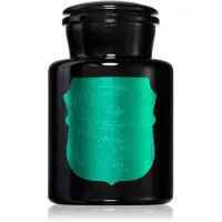 PADDYWAX Apothecary Noir Tabac & Pine tuoksukynttilä 226 g