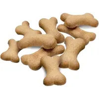 Dogman Lammas- ja katkarapuluu Large10 kg