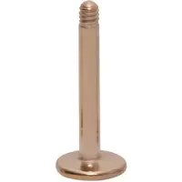 Wildcat Basic Labret - 1,2 mm, 7,0 mm