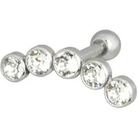 Wildcat Crystal 5