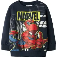 Name it Dion Spider Regular Collegepaita