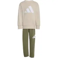 Adidas Treenipuku beige / beigenharmaa / oliivi