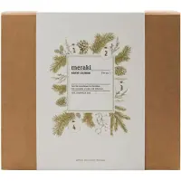 Meraki Advent Calendar
