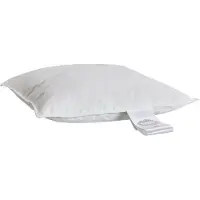 Dozy Muscovy Down Baby Pillow - White - 40X45