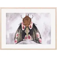 That's Mine Juliste A Moth's Beauty 30x40