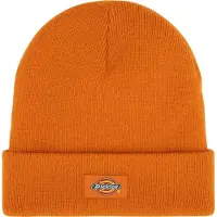 Dickies Gibsland Beanie - Orange - ONE SIZE