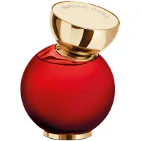 Jesus Del Pozo My Wish Addiction Eau de Parfum 100 ml