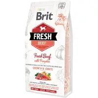 Brit Fresh Beef&Pumpkin PuppyLarge