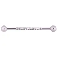 Wildcat Crystal Industrial Barbell <!--63ee571f2c8a8-->