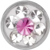 Wildcat Sealed Jewelled for Internally Threaded - Fuksija, 5,0 mm, 1,2 mm