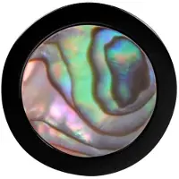 Wildcat X-Change Abalone - 12,0 mm