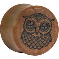 Wildcat Cute Owl on Olive Plug