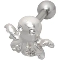 Wildcat Octopus