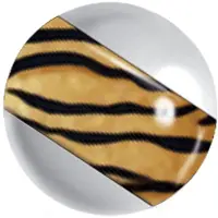 Wildcat Wildlife Stripe Tiger - 1,6 mm, 6,0 mm