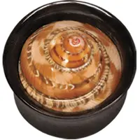 Wildcat Buffalo Horn Batik Shell - 14,0 mm