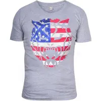 Wildcat Vintage Stars & Stripes - T-paita - XL, Harmaa