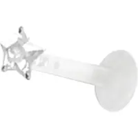 Wildcat Crystal Star Push-fit Labret - 1,2 mm, 10,0 mm
