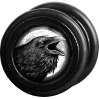 Wildcat Raven Right<!--63f75c29bc04d-->