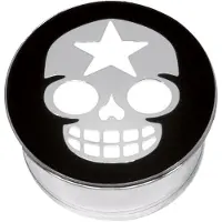 Wildcat Impression Star Skull on Black