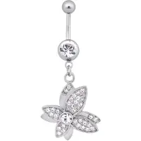 Wildcat Jewelled Butterfly