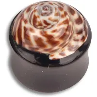 Wildcat Shell Buffalo Horn Brown - 16,0 mm