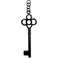 Wildcat Black Key