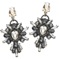 Wildcat Explosions Earrings