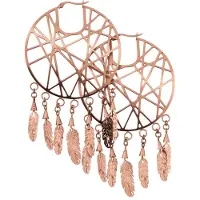Wildcat Dreamcatcher Hoops