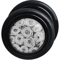 Wildcat Roses Fake Plug
