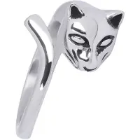 Wildcat - Silber, 66