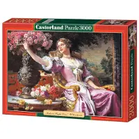 Castorland Lady in Purple Dress, W. Czachórski 3000p palapeli
