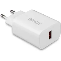 Lindy 73412, Sisätila, Ulkona, AC, 12 V, Valkoinen